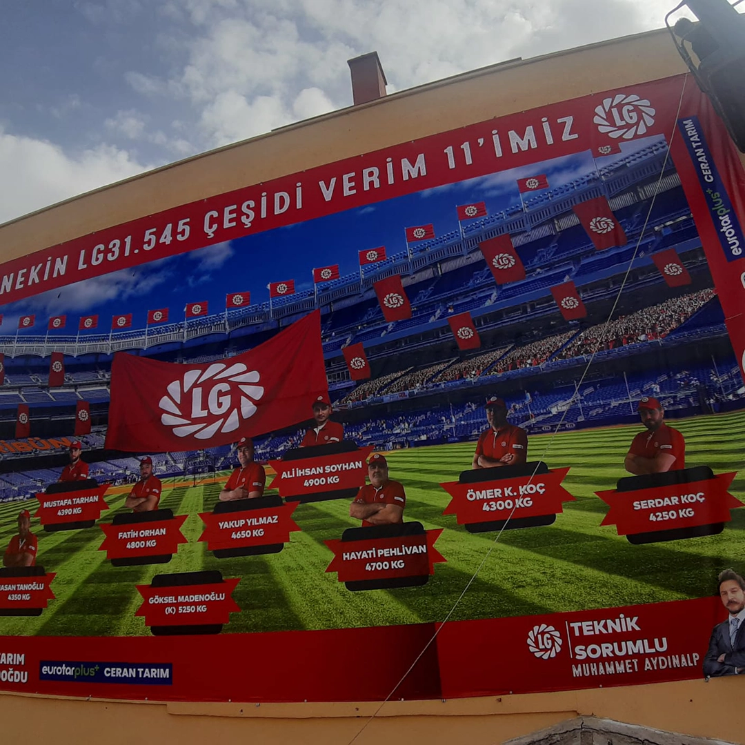 Grafik15 Tabela - Dijial Baskı - Tanıtım