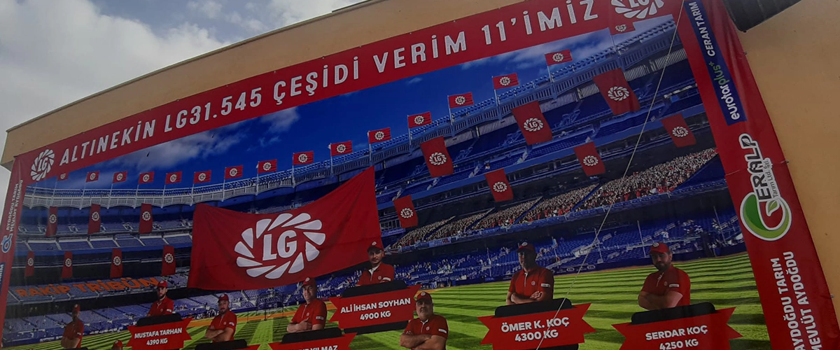 Grafik15 Tabela - Dijial Baskı - Tanıtım